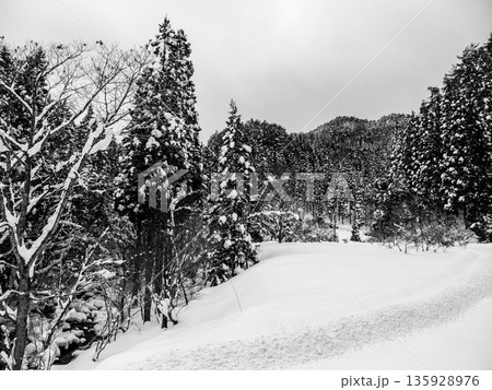 兵庫県宍粟市のちくさ高原スキー場の雪景色 兵庫県宍粟市のちくさ高原スキー場の雪景色 135928976