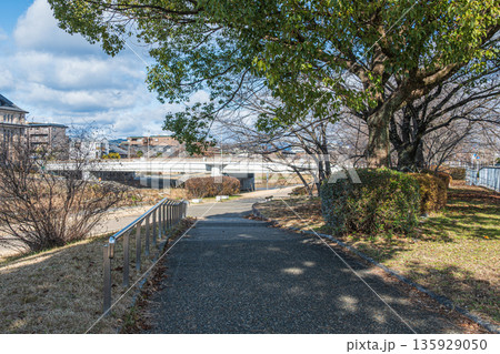 冬の鴨川風景　京都市 135929050