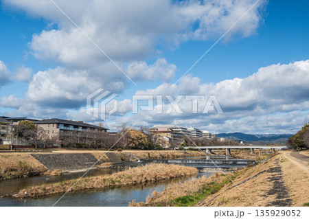 冬の鴨川風景 京都市 冬の鴨川風景 京都市 135929052