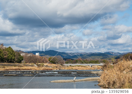 冬の鴨川風景 京都市 冬の鴨川風景 京都市 135929056