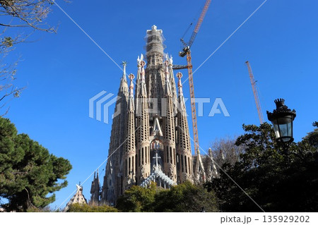 世界遺産　完成間近のサグラダファミリア　バルセロナ　スペイン 135929202