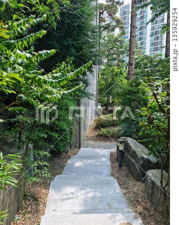 It is a walking trail with downhill stairs. 135929254