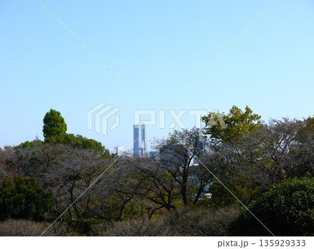 保土ヶ谷公園から見た横浜ランドマークタワー 135929333