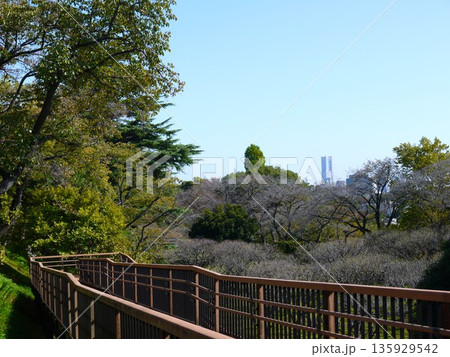 保土ヶ谷公園の風景 保土ヶ谷公園の風景 135929542