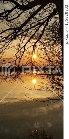 Reflection of sunset in water through tree branches 135929832