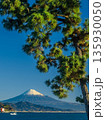 三保の松原の松と富士山 135930050