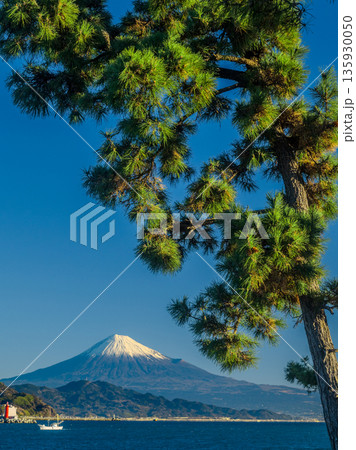 三保の松原の松と富士山 135930050