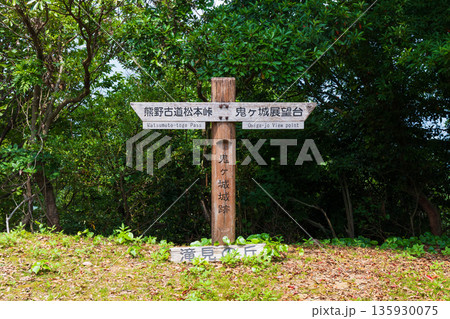 夏の三重県熊野市　世界遺産　鬼ヶ城（城跡） 135930075