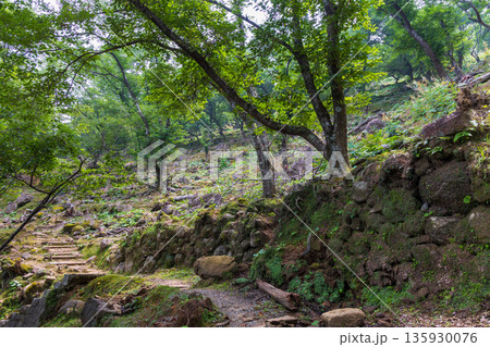 夏の三重県熊野市　世界遺産　鬼ヶ城（城跡） 135930076
