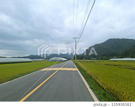It's a field and a straight road. It's a field and a straight road. 135930161