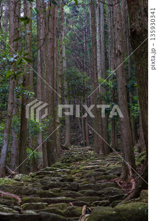 信仰の道　世界遺産　熊野古道伊勢路　松本峠 135930341