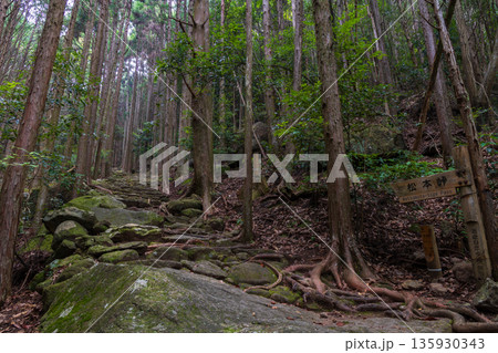 信仰の道　世界遺産　熊野古道伊勢路　松本峠 135930343