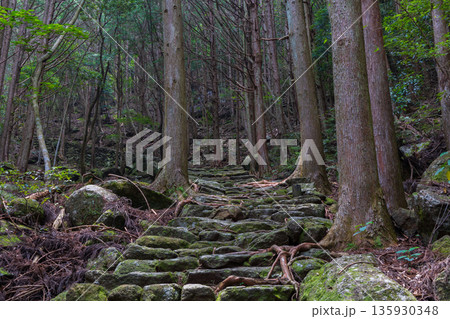 信仰の道 世界遺産 熊野古道伊勢路 松本峠 信仰の道 世界遺産 熊野古道伊勢路 松本峠 135930348