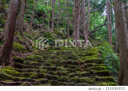 信仰の道　世界遺産　熊野古道伊勢路　松本峠 135930353