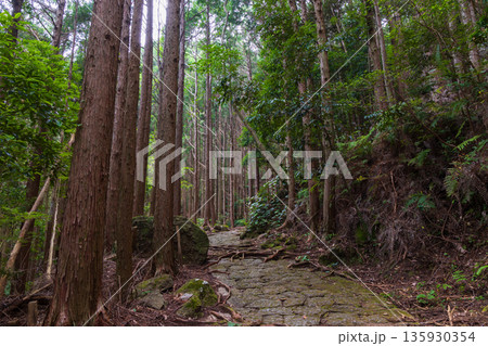 信仰の道 世界遺産 熊野古道伊勢路 松本峠 信仰の道 世界遺産 熊野古道伊勢路 松本峠 135930354