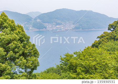 夏の三重県熊野市 世界遺産 鬼ヶ城(城跡)からの眺望 夏の三重県熊野市 世界遺産 鬼ヶ城(城跡)からの眺望 135930531