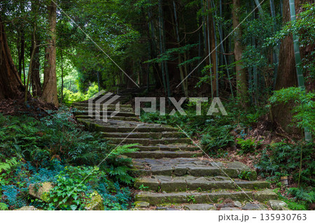 信仰の道 世界遺産 熊野古道中辺路 大門坂 信仰の道 世界遺産 熊野古道中辺路 大門坂 135930763