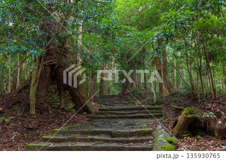 信仰の道　世界遺産　熊野古道中辺路　大門坂 135930765
