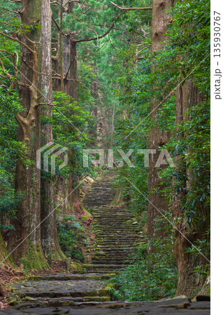 信仰の道　世界遺産　熊野古道中辺路　大門坂 135930767