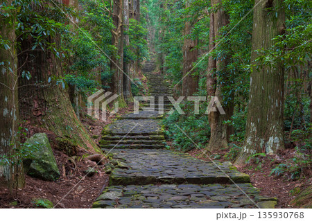 信仰の道 世界遺産 熊野古道中辺路 大門坂 信仰の道 世界遺産 熊野古道中辺路 大門坂 135930768