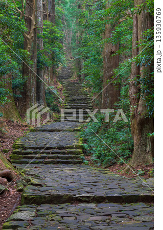 信仰の道　世界遺産　熊野古道中辺路　大門坂 135930769