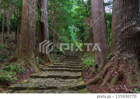 信仰の道 世界遺産 熊野古道中辺路 大門坂 信仰の道 世界遺産 熊野古道中辺路 大門坂 135930770