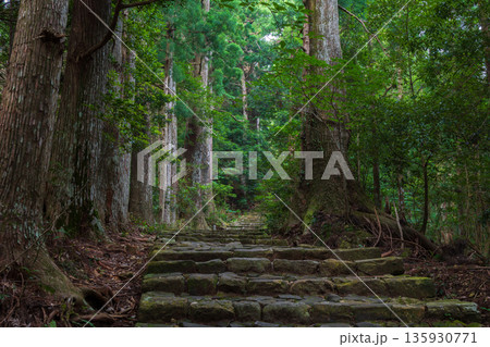 信仰の道 世界遺産 熊野古道中辺路 大門坂 信仰の道 世界遺産 熊野古道中辺路 大門坂 135930771