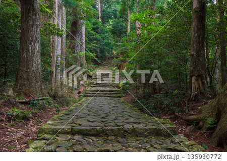 信仰の道 世界遺産 熊野古道中辺路 大門坂 信仰の道 世界遺産 熊野古道中辺路 大門坂 135930772