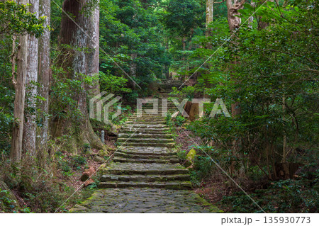 信仰の道　世界遺産　熊野古道中辺路　大門坂 135930773