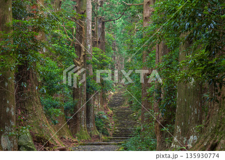 信仰の道 世界遺産 熊野古道中辺路 大門坂 信仰の道 世界遺産 熊野古道中辺路 大門坂 135930774