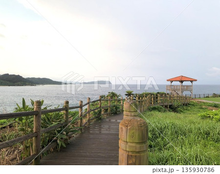 南の島　早朝の岬 135930786