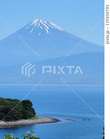 冠雪した富士山と岬 冠雪した富士山と岬 135930793