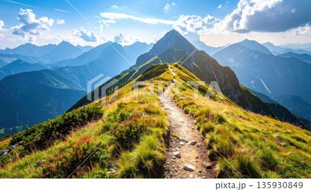 《AI画像》登山イメージ 尾根の登山道 135930849