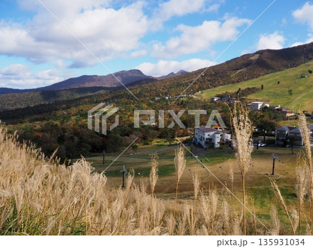 紅葉が美しい鳥取県大山の絶景 135931034