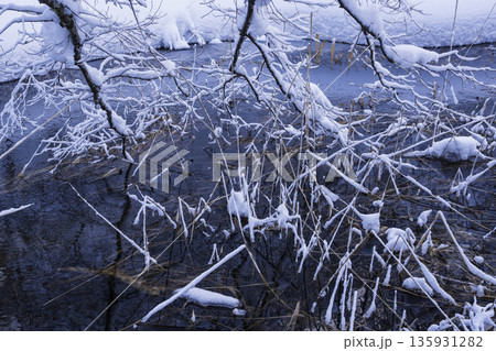 雪の積もった木 135931282