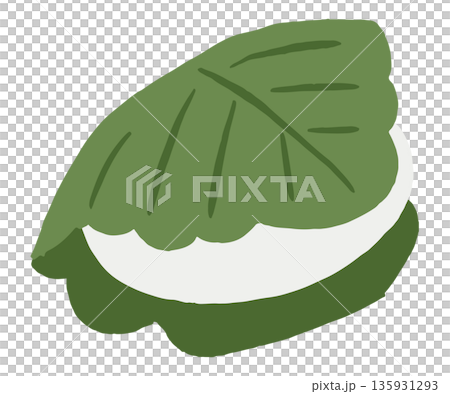 Vector illustration of Kashiwamochi for Children's Day | Boys' Day, Japanese sweets material 135931293
