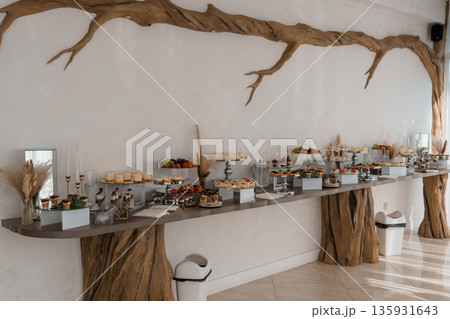 Rustic Wood Branch Wall Art with Elegant Dessert Buffet Display in Modern Event Space 135931643