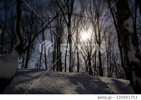 スキー場　ゲレンデ風景　白馬岩岳スノーフィールド 135931753