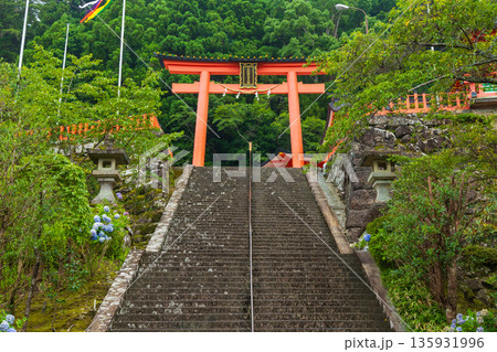 夏の世界遺産 熊野三山 熊野那智大社 参道と二の鳥居 夏の世界遺産 熊野三山 熊野那智大社 参道と二の鳥居 135931996