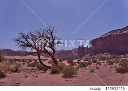 モニュメントバレー･バレードライブのザ・キューブから見るレインゴットメサ 135932056