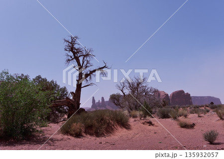 モニュメントバレー・バレードライブのスピーチヘッドメサ傍から見るスリーシスターズ モニュメントバレー・バレードライブのスピーチヘッドメサ傍から見るスリーシスターズ 135932057