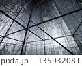 art 135932081