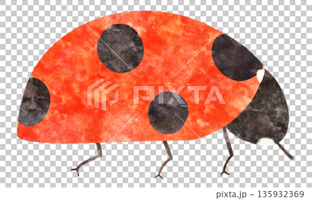 可愛的瓢蟲(七星瓢蟲)水彩插圖 可愛的瓢蟲(七星瓢蟲)水彩插圖 135932369