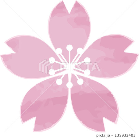 桜の花の手描き水彩風イラスト。春を彩るサクラの和風アイコン、飾り、デザイン素材 135932403