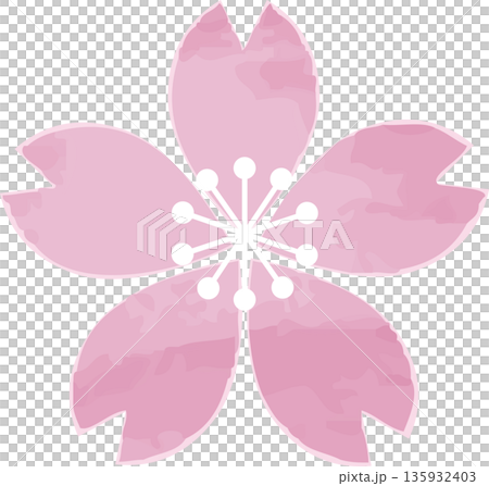 桜の花の手描き水彩風イラスト。春を彩るサクラの和風アイコン、飾り、デザイン素材 135932403