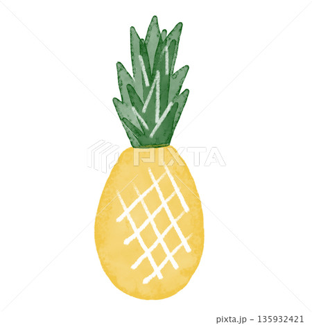 夏の果物・手描きイラスト。白背景に水彩と色鉛筆で描かれた葉付のパイナップル 135932421