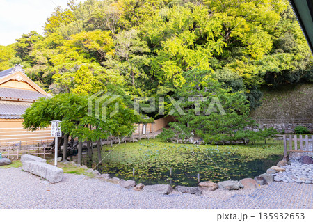 出雲大社 鏡の池と島台の松 出雲大社 鏡の池と島台の松 135932653
