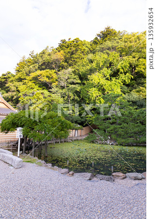 出雲大社 鏡の池と島台の松 出雲大社 鏡の池と島台の松 135932654