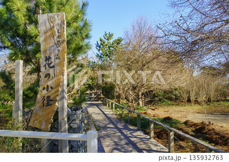 【千葉県長生郡一宮町】一宮しおさいの森・花の小径 【千葉県長生郡一宮町】一宮しおさいの森・花の小径 135932763