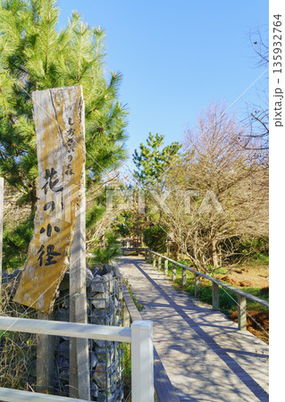 【千葉県長生郡一宮町】一宮しおさいの森・花の小径 135932764